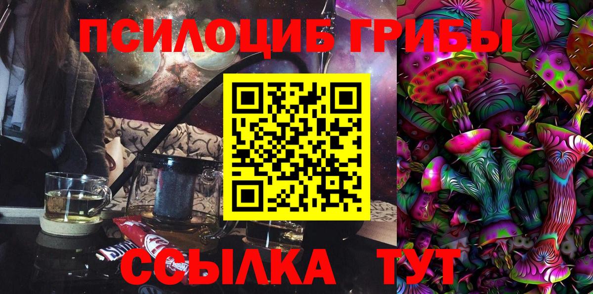 Галлюциногенные грибы GOLDEN TEACHER  Вход с VPN  Донской  Галлюциногенные грибы Psilocybine cubensis 